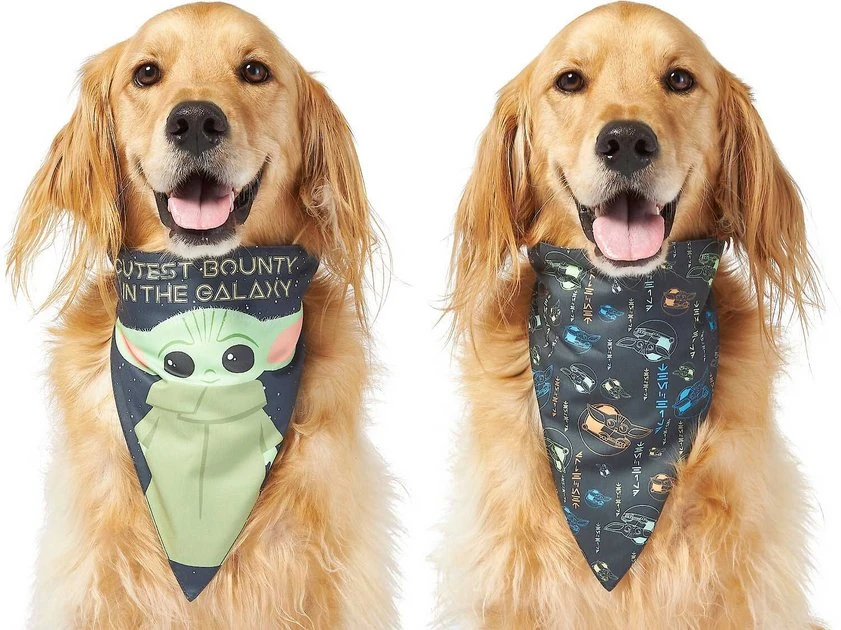 STAR WARS THE MANDALORIAN GROGU "Cutest Bounty" Reversible Dog & Cat Bandana 1 STAR WARS THE MANDALORIAN GROGU "Cutest Bounty" Reversible Dog & Cat Bandana