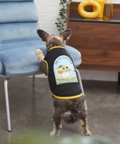 STAR WARS THE MANDALORIAN GROGU "Left Unsupervised" Dog & Cat T-Shirt 11 STAR WARS THE MANDALORIAN GROGU "Left Unsupervised" Dog & Cat T-Shirt -STAR WARS Shop 220344 PT8. SY630 V1646175476