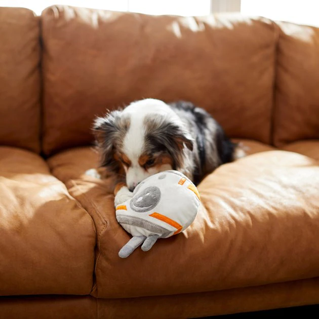 STAR WARS BB-8 Round Plush Squeaky Dog Toy 3 STAR WARS BB-8 Round Plush Squeaky Dog Toy - Image 3