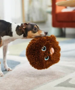 STAR WARS CHEWBACCA Round Plush Squeaky Dog Toy -STAR WARS Shop 220625 PT2. SY630 V1612367551