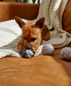 STAR WARS DEATH STAR Fetch Squeaky Tennis Ball Dog Toy, 3 count -STAR WARS Shop 220663 PT2. SY630 V1612366942