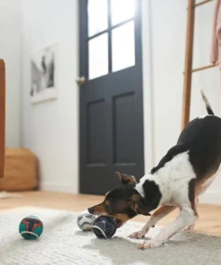 STAR WARS GALACTIC EMPIRE Fetch Squeaky Tennis Ball Dog Toy 5 STAR WARS GALACTIC EMPIRE Fetch Squeaky Tennis Ball Dog Toy -STAR WARS Shop 220695 PT3. SY630 V1621383224