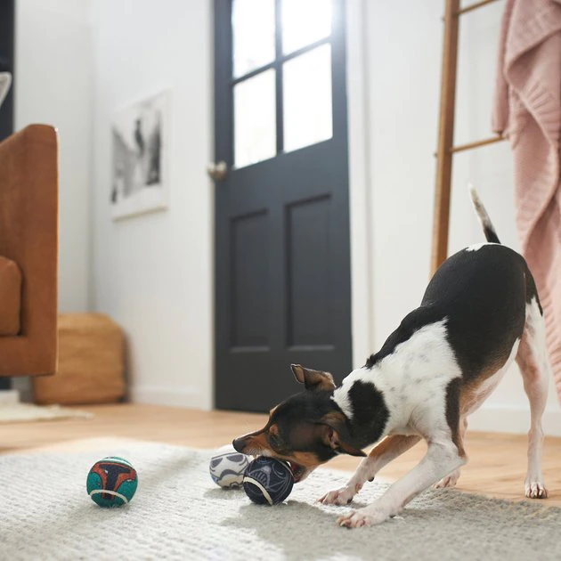 STAR WARS GALACTIC EMPIRE Fetch Squeaky Tennis Ball Dog Toy 3 STAR WARS GALACTIC EMPIRE Fetch Squeaky Tennis Ball Dog Toy - Image 3