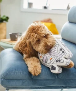 STAR WARS MILLENNIUM FALCON Ballistic Nylon Plush Squeaky Dog Toy 5 STAR WARS MILLENNIUM FALCON Ballistic Nylon Plush Squeaky Dog Toy -STAR WARS Shop 220791 PT2. SY630 V1612365198