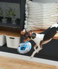 STAR WARS R2-D2 Round Plush Squeaky Dog Toy -STAR WARS Shop 220868 PT2. SY630 V1612365557