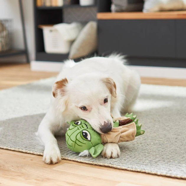 STAR WARS YODA Ballistic Nylon Plush Squeaky Dog Toy 3 STAR WARS YODA Ballistic Nylon Plush Squeaky Dog Toy - Image 3