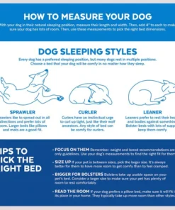 STAR WARS THE MANDALORIAN GROGU Pillow Cat & Dog Bed -STAR WARS Shop 222217 PT3. SY630 V1633976209