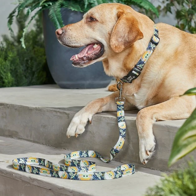 STAR WARS THE MANDALORIAN GROGU Dog Leash 3 STAR WARS THE MANDALORIAN GROGU Dog Leash - Image 3