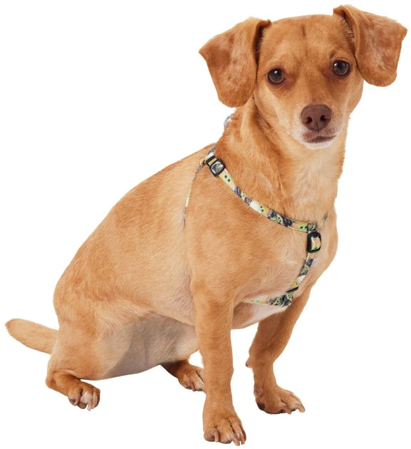 STAR WARS THE MANDALORIAN GROGU Dog Harness 3 STAR WARS THE MANDALORIAN GROGU Dog Harness - Image 3