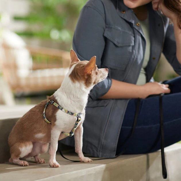 STAR WARS THE MANDALORIAN GROGU Dog Harness 7 STAR WARS THE MANDALORIAN GROGU Dog Harness - Image 7