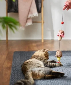 STAR WARS GALACTIC EMPIRE Ice Cream Scoops Bouncy Cat Toy with Catnip -STAR WARS Shop 239883 PT3. SY630 V1624648377