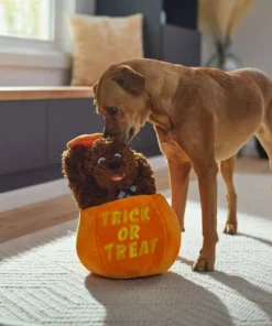 STAR WARS Halloween CHEWBACCA in a Pumpkin Plush Squeaky Dog Toy -STAR WARS Shop 267868 PT3. SY630 V1623245695