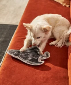 STAR WARS Halloween DARTH VADER Flat Plush Squeaky Dog Toy 7 STAR WARS Halloween DARTH VADER Flat Plush Squeaky Dog Toy -STAR WARS Shop 267870 PT3. SY630 V1623245604