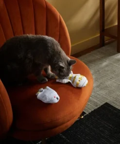 STAR WARS Halloween R2-D2 & C-3PO Trick or Treaters Plush Cat Toy with Catnip, 2 count 5 STAR WARS Halloween R2-D2 & C-3PO Trick or Treaters Plush Cat Toy with Catnip, 2 count -STAR WARS Shop 267878 PT3. SY630 V1623245843