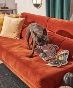 STAR WARS Halloween R2D2 & C-3PO Flat Plush Squeaky Dog Toy, 2 count -STAR WARS Shop 267880 PT3. SY630 V1623245766