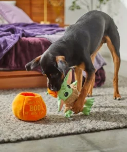 STAR WARS Halloween THE MANDALORIAN GROGU in a Pumpkin Plush Squeaky Dog Toy -STAR WARS Shop 267882 PT3. SY630 V1623245730