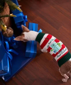 STAR WARS THE MANDALORIAN GROGU "The Best Things" Dog & Cat Sweater 11 STAR WARS THE MANDALORIAN GROGU "The Best Things" Dog & Cat Sweater -STAR WARS Shop 270586 PT8. SY630 V1631659603