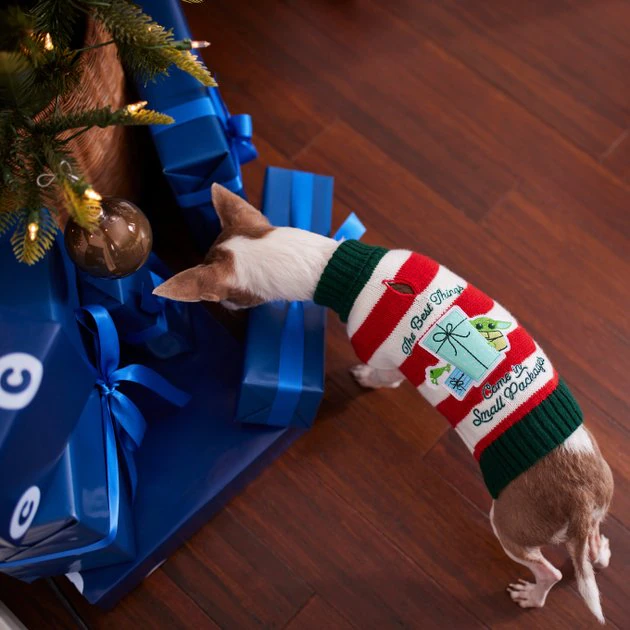 STAR WARS THE MANDALORIAN GROGU "The Best Things" Dog & Cat Sweater 6 STAR WARS THE MANDALORIAN GROGU "The Best Things" Dog & Cat Sweater - Image 6