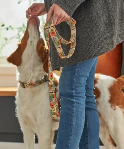 STAR WARS THE MANDALORIAN GROGU Pumpkin Dog Leash 5 STAR WARS THE MANDALORIAN GROGU Pumpkin Dog Leash -STAR WARS Shop 272895 PT8. SY630 V1623879526