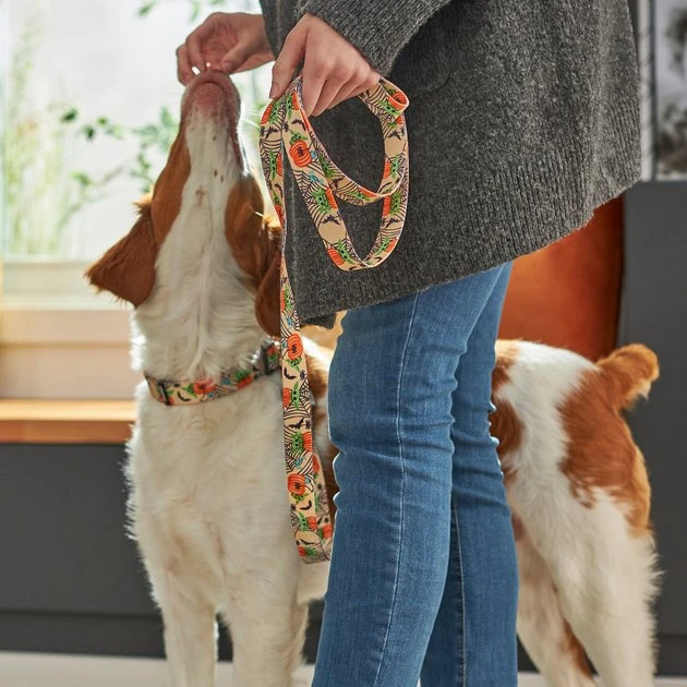 STAR WARS THE MANDALORIAN GROGU Pumpkin Dog Leash 3 STAR WARS THE MANDALORIAN GROGU Pumpkin Dog Leash - Image 3