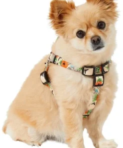 STAR WARS THE MANDALORIAN GROGU Pumpkin Dog Harness -STAR WARS Shop 272935 PT6. SY630 V1624048071