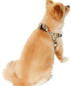 STAR WARS THE MANDALORIAN GROGU Pumpkin Dog Harness -STAR WARS Shop 272935 PT7. SY630 V1624048052