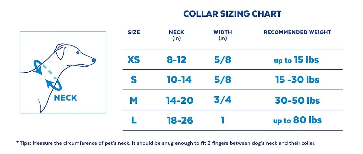 STAR WARS THE MANDALORIAN GROGU Pumpkin Dog Collar 2 STAR WARS THE MANDALORIAN GROGU Pumpkin Dog Collar - Image 2