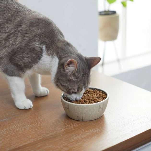 STAR WARS Tie Fighter No-Skid Ceramic Cat Bowl 3 STAR WARS Tie Fighter No-Skid Ceramic Cat Bowl - Image 3