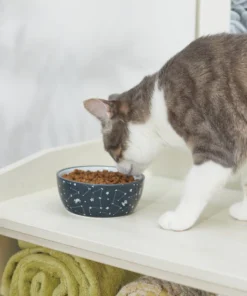 STAR WARS Navy Constellations No-Skid Ceramic Cat Bowl -STAR WARS Shop 280656 PT3. SY630 V1629986532