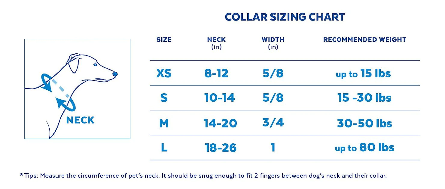 STAR WARS Streetwear Pattern Dog Collar 3 STAR WARS Streetwear Pattern Dog Collar - Image 3