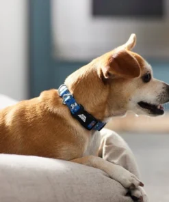 STAR WARS Streetwear Pattern Dog Collar 9 STAR WARS Streetwear Pattern Dog Collar -STAR WARS Shop 289485 PT8. SY630 V1634304217