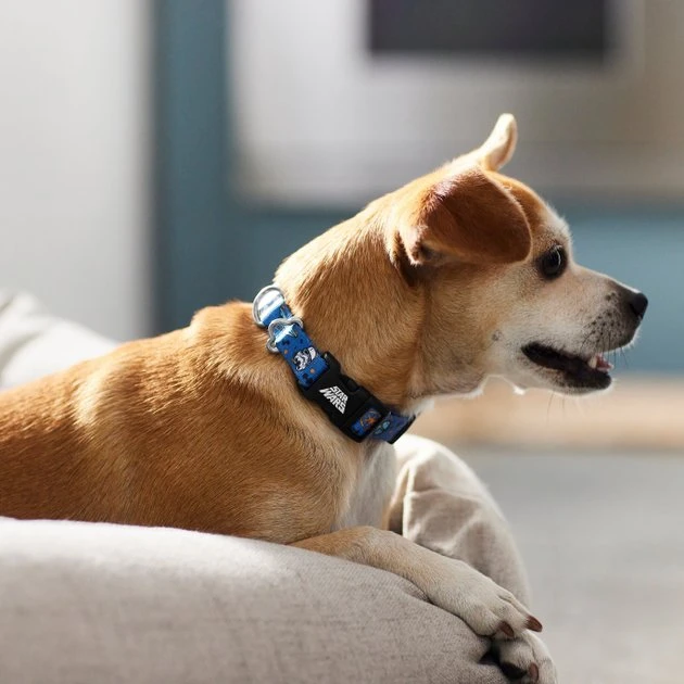 STAR WARS Streetwear Pattern Dog Collar 5 STAR WARS Streetwear Pattern Dog Collar - Image 5