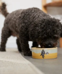 STAR WARS THE MANDALORIAN & CHILD Desert Non-Skid Ceramic Dog & Cat Bowl 8 STAR WARS THE MANDALORIAN & CHILD Desert Non-Skid Ceramic Dog & Cat Bowl -STAR WARS Shop 291414 PT2. SY630 V1633979880