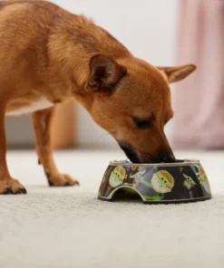 STAR WARS THE MANDALORIAN GROGU AUREBESH Non-Skid Stainless Steel with Melamine Stand Dog Bowl 8 STAR WARS THE MANDALORIAN GROGU AUREBESH Non-Skid Stainless Steel with Melamine Stand Dog Bowl -STAR WARS Shop 291433 PT2. SY630 V1633979208