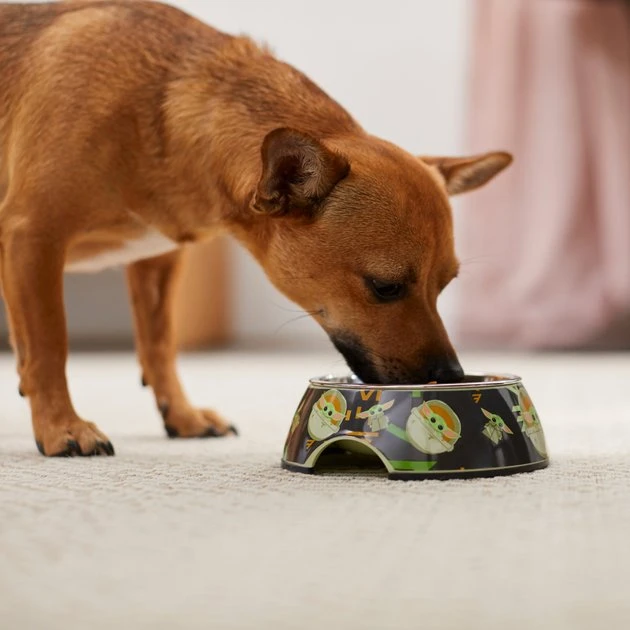 STAR WARS THE MANDALORIAN GROGU AUREBESH Non-Skid Stainless Steel with Melamine Stand Dog Bowl 3 STAR WARS THE MANDALORIAN GROGU AUREBESH Non-Skid Stainless Steel with Melamine Stand Dog Bowl - Image 3