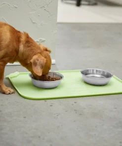 STAR WARS THE MANDALORIAN GROGU Snack Silicone Dog & Cat Food Mat 7 STAR WARS THE MANDALORIAN GROGU Snack Silicone Dog & Cat Food Mat -STAR WARS Shop 291448 PT2. SY630 V1633979380