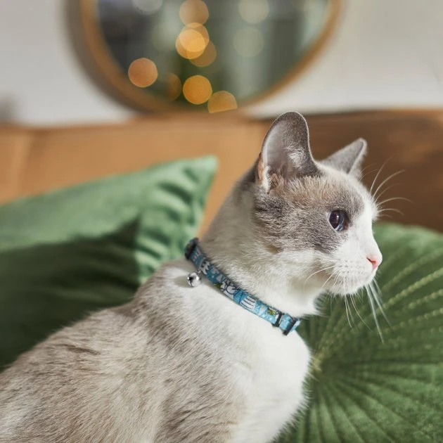 STAR WARS THE MANDALORIAN GROGU Snowman Cat Collar, 8 - 12 inches, Width: 5/8-in 3 STAR WARS THE MANDALORIAN GROGU Snowman Cat Collar, 8 - 12 inches, Width: 5/8-in - Image 3