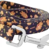 STAR WARS Gingerbread Dog Leash