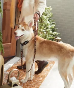 STAR WARS Gingerbread Dog Leash -STAR WARS Shop 291691 PT8. SY630 V1632185491