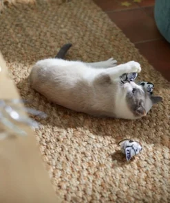 STAR WARS New Year's Eve STORMTROOPER Plush Mice Cat Toy with Catnip, 3 count 5 STAR WARS New Year's Eve STORMTROOPER Plush Mice Cat Toy with Catnip, 3 count -STAR WARS Shop 298977 PT2. SY630 V1637767180