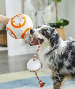 STAR WARS BB-8 Ballistic Nylon Plush Squeaky Toy + MILLENNIUM FALCON Ballistic Nylon Plush Squeaky Dog Toy 10 STAR WARS BB-8 Ballistic Nylon Plush Squeaky Toy + MILLENNIUM FALCON Ballistic Nylon Plush Squeaky Dog Toy -STAR WARS Shop 302554 PT3. SY630 V1623081150