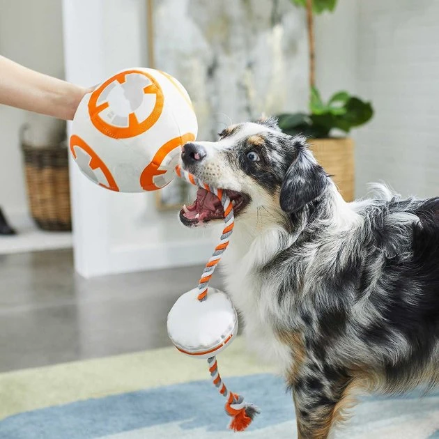 STAR WARS BB-8 Ballistic Nylon Plush Squeaky Toy + MILLENNIUM FALCON Ballistic Nylon Plush Squeaky Dog Toy 4 STAR WARS BB-8 Ballistic Nylon Plush Squeaky Toy + MILLENNIUM FALCON Ballistic Nylon Plush Squeaky Dog Toy - Image 4