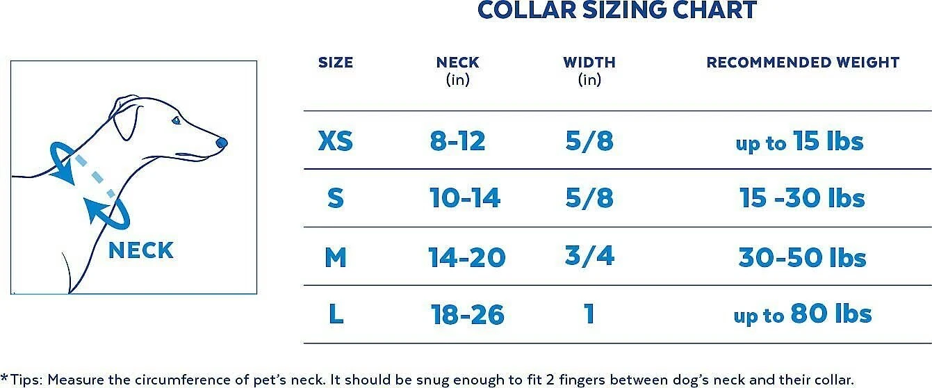 STAR WARS THE MANDALORIAN GROGU Collar + Dog Leash 5 STAR WARS THE MANDALORIAN GROGU Collar + Dog Leash - Image 5