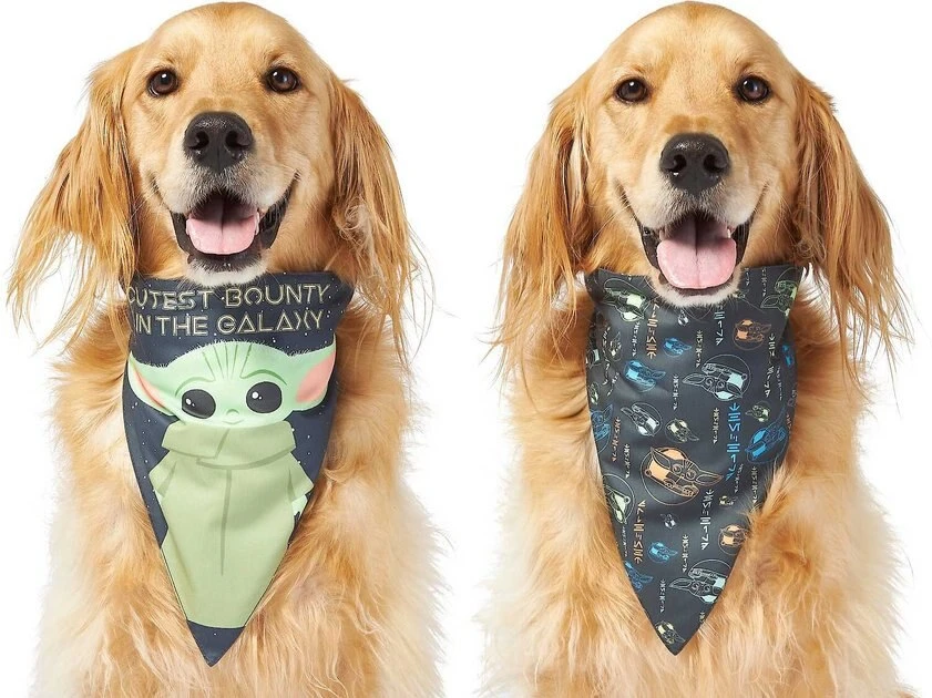 STAR WARS THE MANDALORIAN GROGU "Cutest Bounty" Reversible Bandana+ "Left Unsupervised" Dog & Cat T-Shirt 3 STAR WARS THE MANDALORIAN GROGU "Cutest Bounty" Reversible Bandana+ "Left Unsupervised" Dog & Cat T-Shirt - Image 3