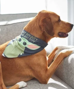 STAR WARS THE MANDALORIAN GROGU "Cutest Bounty" Reversible Bandana+ "Left Unsupervised" Dog & Cat T-Shirt 14 STAR WARS THE MANDALORIAN GROGU "Cutest Bounty" Reversible Bandana+ "Left Unsupervised" Dog & Cat T-Shirt -STAR WARS Shop 303020 PT5. SY630 V1632370941