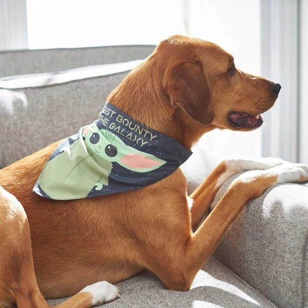 STAR WARS THE MANDALORIAN GROGU "Cutest Bounty" Reversible Bandana+ "Left Unsupervised" Dog & Cat T-Shirt 6 STAR WARS THE MANDALORIAN GROGU "Cutest Bounty" Reversible Bandana+ "Left Unsupervised" Dog & Cat T-Shirt - Image 6