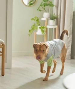 STAR WARS THE MANDALORIAN GROGU "Doesn't Listen" Dog & Cat Raglan T-shirt -STAR WARS Shop 311884 PT8. SY630 V1643325840