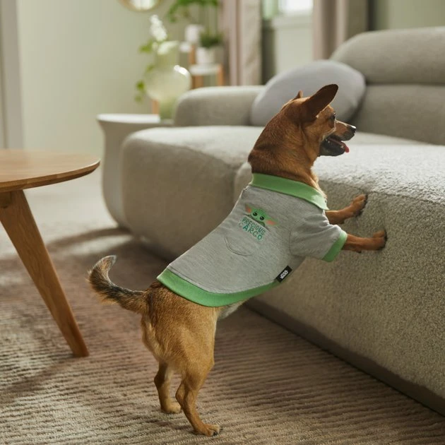 STAR WARS THE MANDALORIAN GROGU "Precious Cargo" Dog & Cat Polo 8 STAR WARS THE MANDALORIAN GROGU "Precious Cargo" Dog & Cat Polo - Image 8
