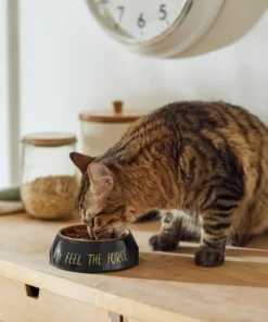 STAR WARS Melamine Stainless Steel Dog & Cat Bowl -STAR WARS Shop 315267 PT3. SY630 V1647283578