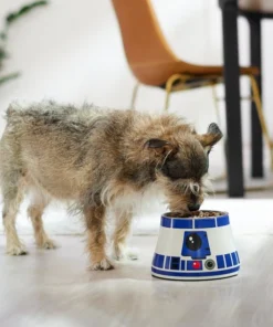 STAR WARS R2-D2 Elevated Melamine Stainless Steel Dog & Cat Bowl 8 STAR WARS R2-D2 Elevated Melamine Stainless Steel Dog & Cat Bowl -STAR WARS Shop 315278 PT2. SY630 V1647281494